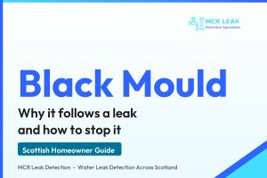 black mould water leak - branded MCR Leak Detection guide card