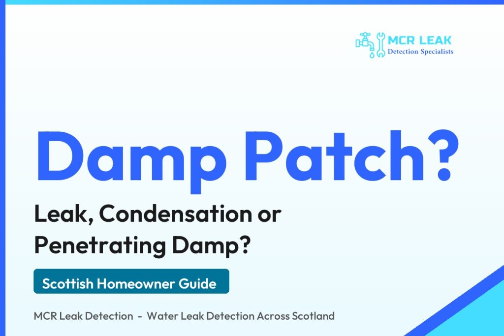 damp patch on wall - branded MCR Leak Detection guide card