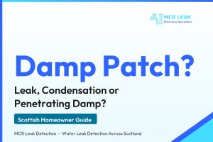 damp patch on wall - branded MCR Leak Detection guide card