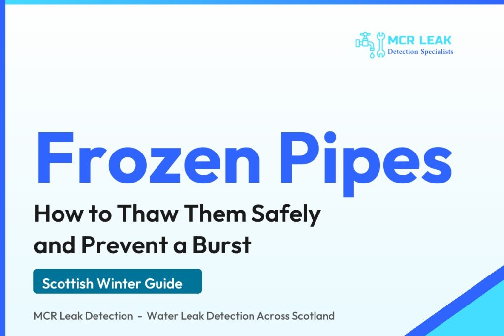 frozen pipes what to do - branded MCR Leak Detection winter guide card