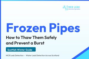 frozen pipes what to do - branded MCR Leak Detection winter guide card