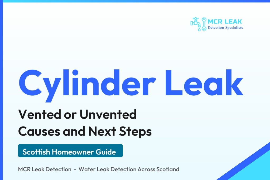 hot water cylinder leaking - branded guide graphic on cylinder leak causes and next steps (MCR Leak Detection)