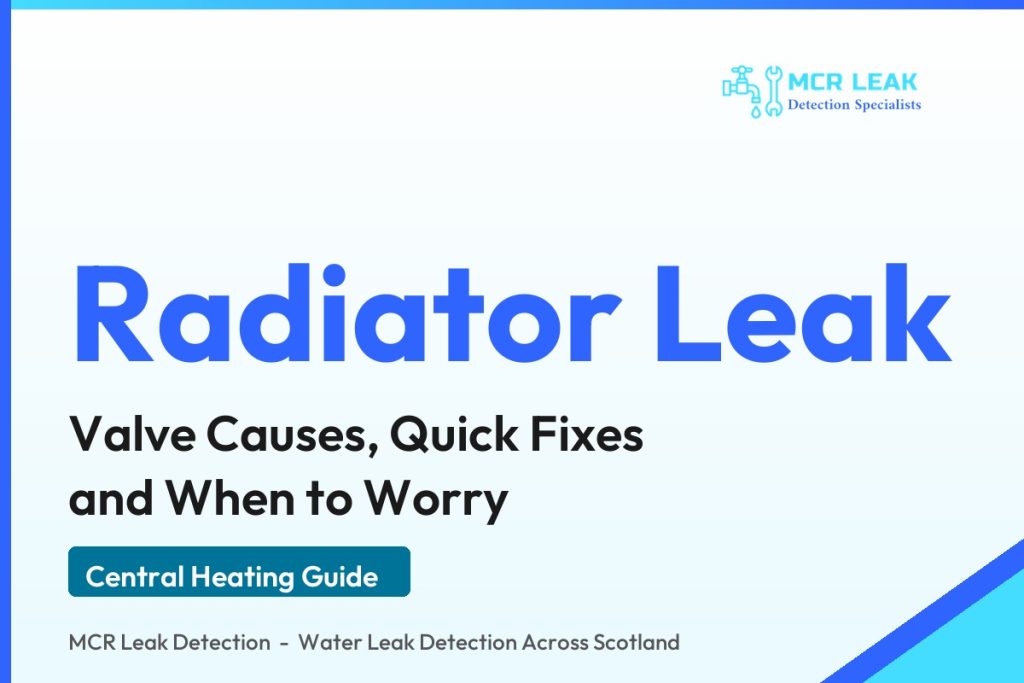 leaking radiator valve - branded guide graphic on radiator valve leaks (MCR Leak Detection)