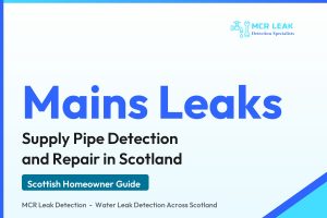 mains water leak detection - branded guide graphic on mains and supply pipe leaks (MCR Leak Detection)