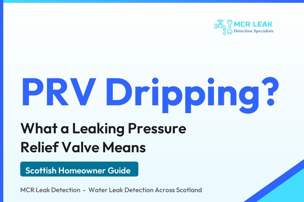 pressure relief valve leaking - branded guide graphic (MCR Leak Detection)