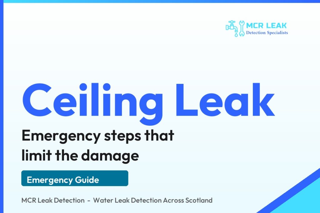 water coming through ceiling - branded MCR Leak Detection emergency guide card